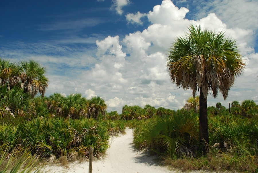 03-Caladesi-Island-State-Park-Credit-rcgtrrz-via-Flickr 03-Caladesi-Island-State-Park-Credit-rcgtrrz-via-Flickr