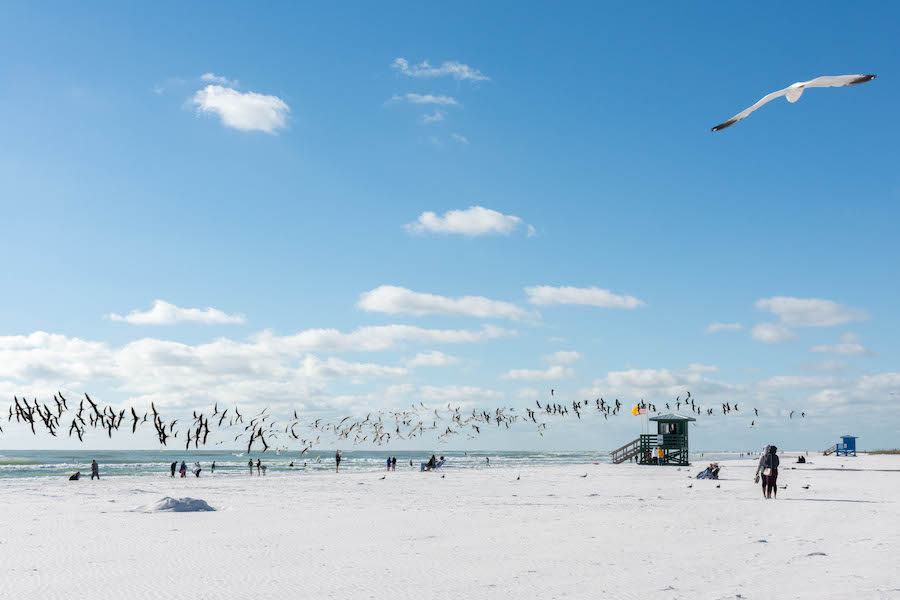 03-Siesta-Key-Beach-Credit-bebatut-via-Flickr 03-Siesta-Key-Beach-Credit-bebatut-via-Flickr