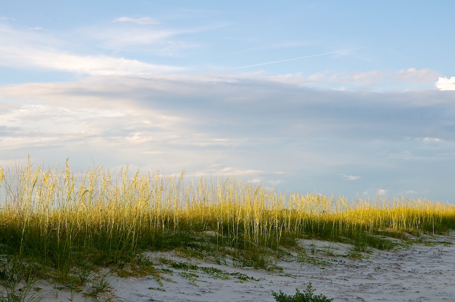 03-St-George-Island-State-Park-Credit-Eric-Vaughn-via-Flickr 03-St-George-Island-State-Park-Credit-Eric-Vaughn-via-Flickr