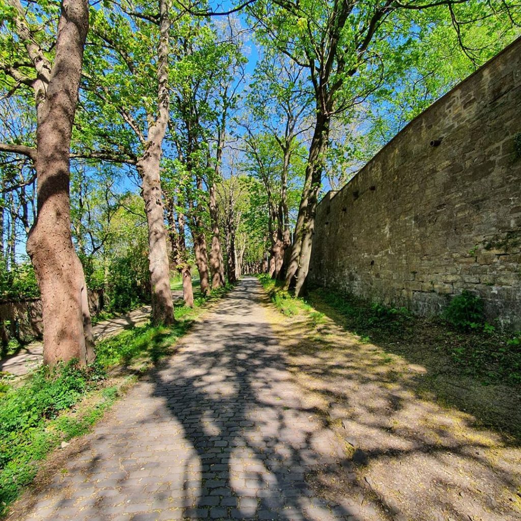 Bürgerpark Osnabrück Bürgerpark Osnabrück