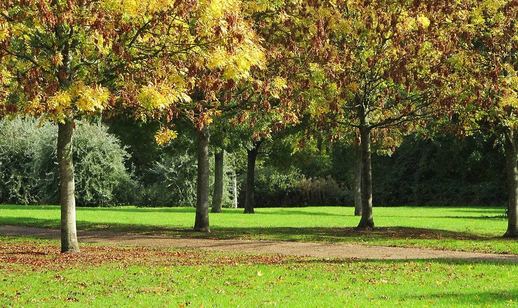 Milton-Keynes-credit-Andrew-Gustar-via-Flickr1 Milton-Keynes-credit-Andrew-Gustar-via-Flickr1